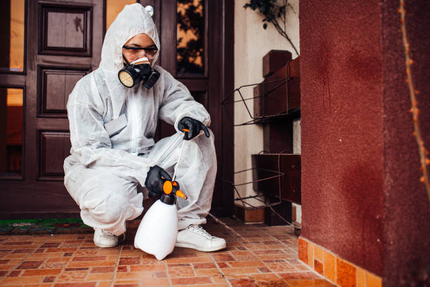Reliable Bed Bug Control contractor in Locust Grove, OK by Nex Pest Control