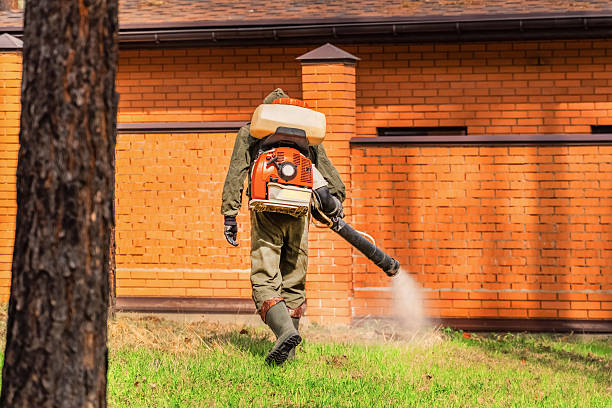 Trusted Mosquito Control service in Locust Grove, OK - Nex Pest Control